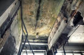 Asbestos and Lead Testing During Mold Inspection in East Washington, PA